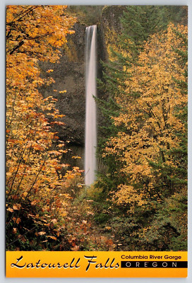 Latourell Falls Collumbia River Gorge OR Postcard UNP 6x4 Scenic Autumn View