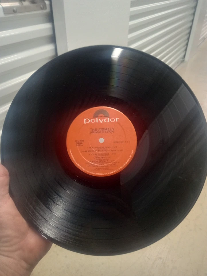 THE ANIMALS ANIMALIZATION LP - POLYDOR 1986 - NM VINYL - Image 4 of 4