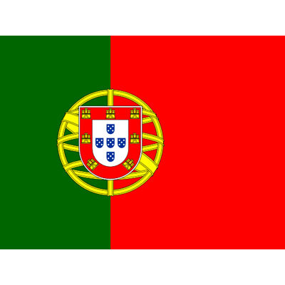 Portugal National Flag World Flags Country Poster Huge Wall Art Print Giant