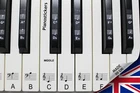Keyboard or Piano Stickers up to 61 KEY keyboard for the black and white keys