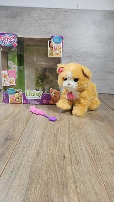 FurReal Daisy spielt mit mir Kätzchen Katze elektronisches interaktives Spielzeug Haustier verpackt m2