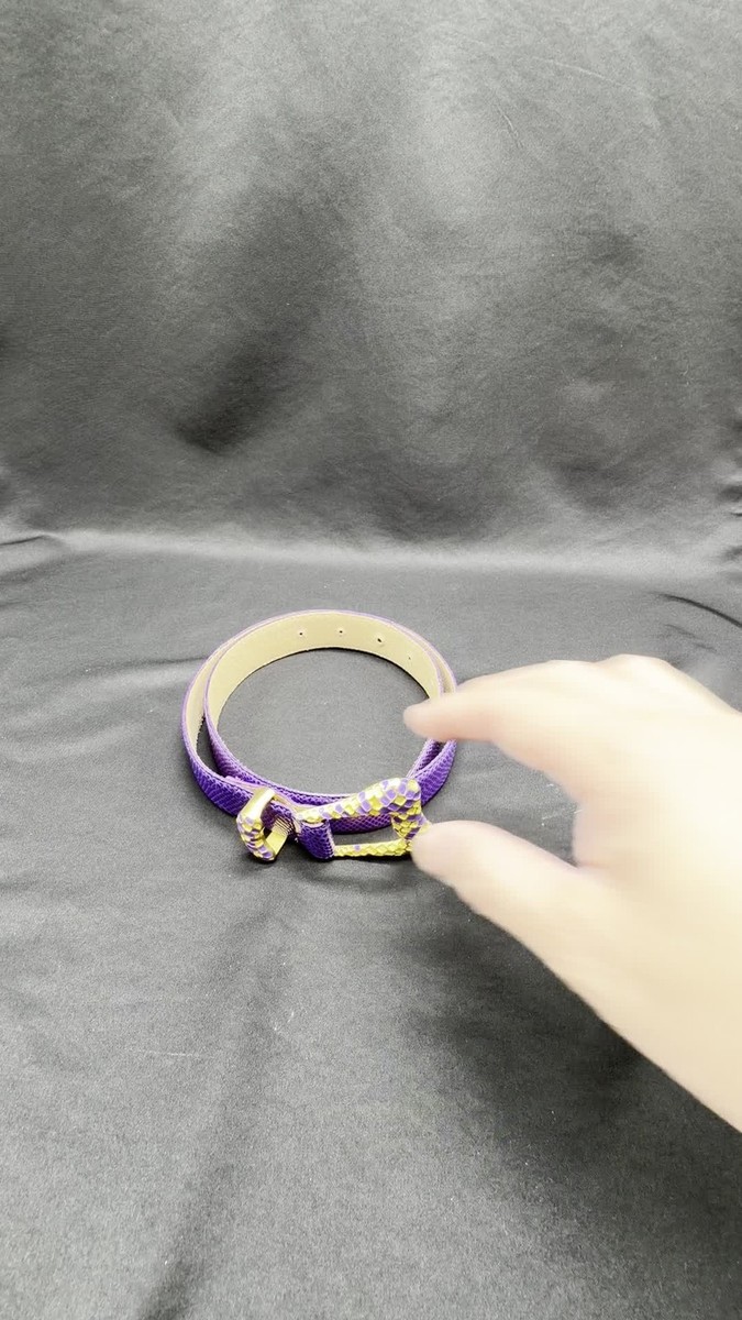 Carlisle Leather Belt Sz S Karen Callan Gold/purple buckle  display picture 1