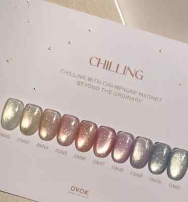 DVOK Chilling Magnet Gel nail Polish Collection  10ml ( 10Colors Set ) /Tracking