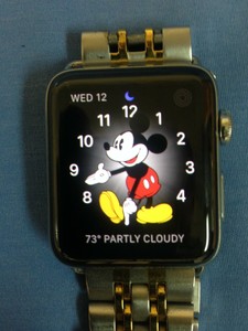 apple watch 42mm case 316l stainless steel sapphire crystal