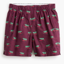 J Crew Boys' truck and tree boxers XXL
