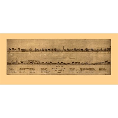 Historic Panoramic View - Lynn Massachusetts - Oliver 1820 - Vintage Wall Art