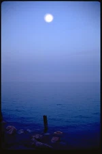 Moonlight Over Water- Stretched Canvas Photo Wall Art - FREE SHIPPING