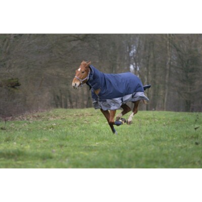 Pferdedecke EQUITHÈME ''TYREX 600 D'' Combo, Winterreiten mehrereg