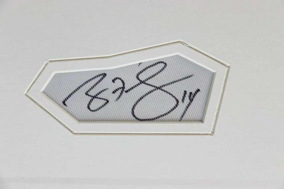 Foto firmada por Ryan Fitzpatrick enmarcada 16x20 exhibición Bills Jets Harvard Foto 2 de 2