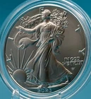 2023-W American Silver Eagle 1 oz .999 Fine Silver Uncirculated Coin OGP COA
