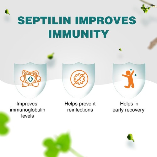 🔥Himalaya Septilin 60 Tablets | Immune Support Supplement | Free Shipping🔥 - Picture 6 of 7