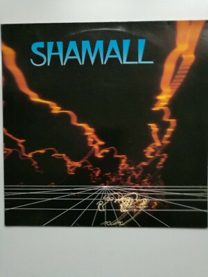12'' MAXISINGLE +++ SHAMALL - FEELING LIKE A STRANGER ++ SUPER !!! 