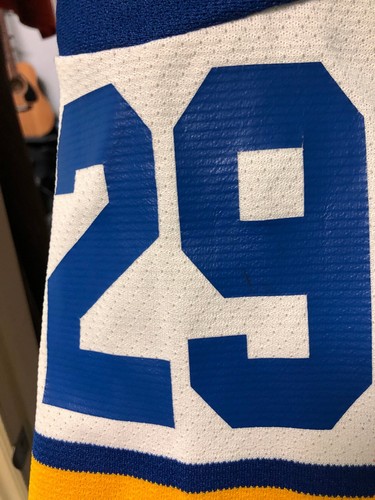 MAGLIA HOCKEY SU GHIACCIO USATA AK PERSONALIZZATA TAGLIO PORTIERE ST. LOUIS BLUES EDDIE 29 BIANCA - Foto 9 di 16