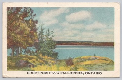 Vintage Fallbrook Ontario Lake Scenery Postcard - Posted SDC Canada