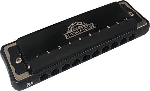 Roundhouse 10 Hole Diatonic Harmonica Padded Zipper Case Key G Musical