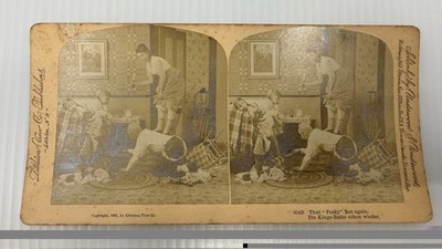 1891 Littleton View Co Stereoview Karte That Pesky Rat Again Comic Victorian 3D