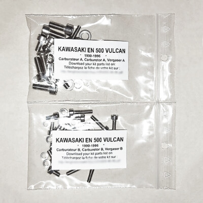 KAWASAKI EN 500 VULCAN 1990-1996 Stainless carburetor screw kit #1 EN500 