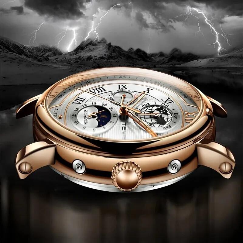 Montre Mécanique Automatique Homme Avec Phase De Lune - Cuir étanche - Cadran Romain Acier Inox
