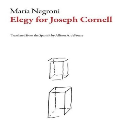 Elegy for Joseph Cornell Deep Vellum Publishing Paperback Deep Ve