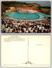 Postal Marineland of the Pacific Sea Arena Marsopa Sea Lion Show