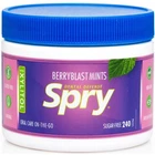 Spry Xylitol Natural Berry Blast Mints Sugar Free Candy - 240 Count (Pack of 1)