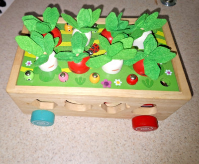 Montessori Wooden Educational Toy for Toddlers Ages 1 2 3 Learning Toy