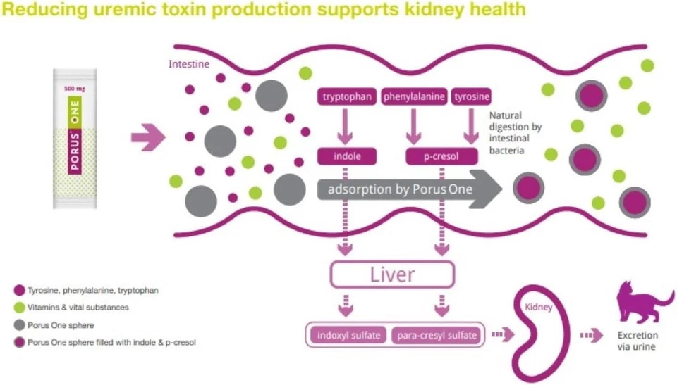 Porus One Kidney Support in Cats, 30 Packets (500mg) by Dechra, Free Shipping - Image 4 of 4