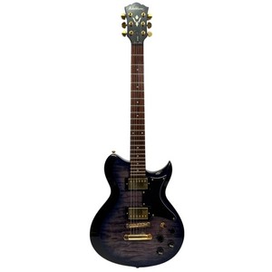 Washburn Guitar Wi14 | eBay