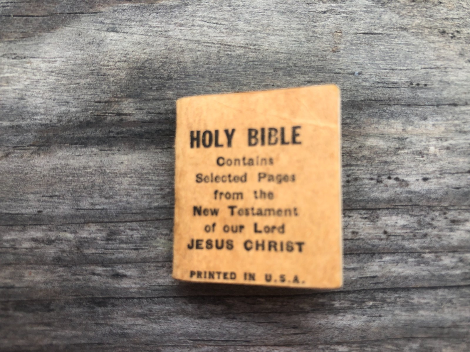 Vintage Mini Bible with Selected Pages From the New Testament