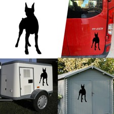 Sticker Vinyl Doberman v4 XS. Duration Outer Plus 7 Years