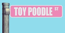 TOY POODLE ST STREET SIGN HEAVY DUTY ALUMINUM ROAD SIGN 17" x 4"