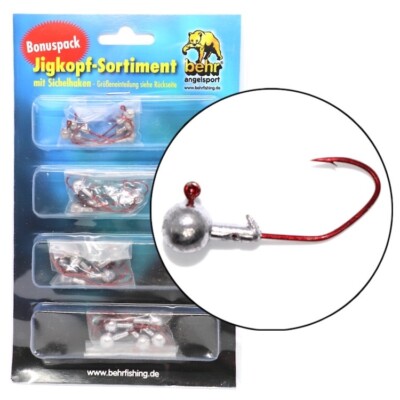 Jigkpfe Set 20 Jigs 1/0 - 4/0 Jigkopf fr Barsch Hecht Zander Jighaken  Jigheads | eBay.de