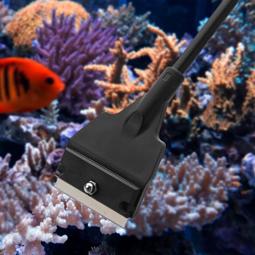 algae scraper for fish tank