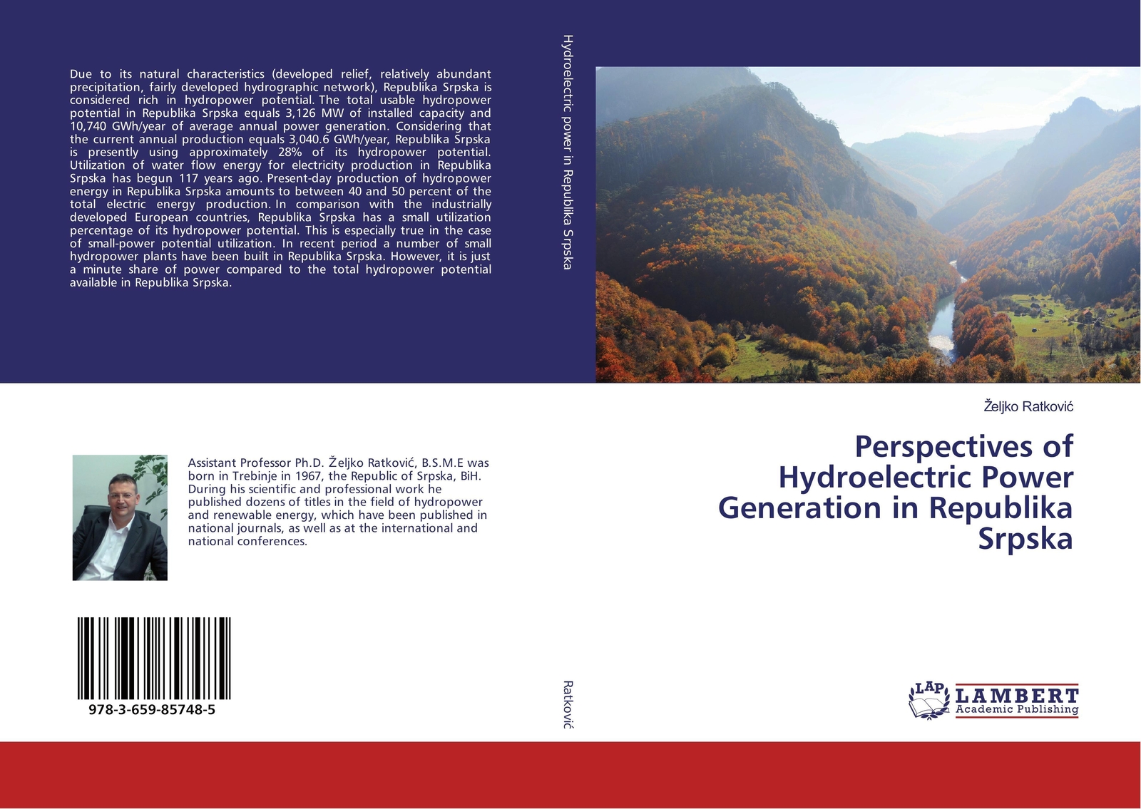 ¿eljko Ratkovi¿ | Perspectives Of Hydroelectric Power Generation In