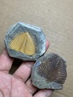 Foto 2 di 12