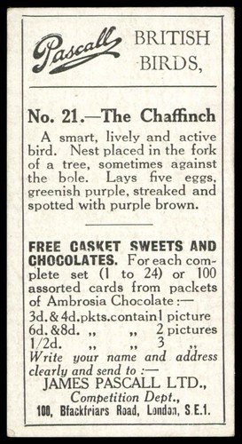 Pascall (James) - 'British Birds' (1925) - The Chaffinch - Picture 2 of 2