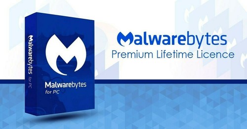 Ưu điểm của bản quyền Lifetime so với đăng ký hàng năm