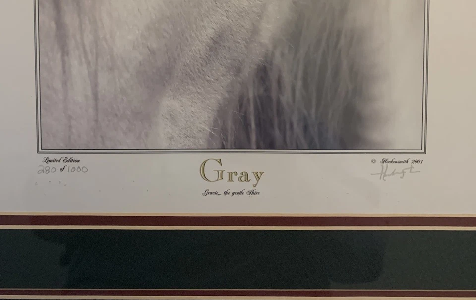 Gray by John S. Hockensmith - Fine Art Print #280 /1000 COA Framed Horse Art - Image 2 of 4