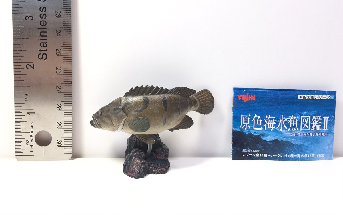 RARE Japan Exclusive Yujin Saltwater Fish Kelp Grouper Limited