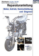 Reparaturanleitung RIS Skyteam SkyMax 125 EFI, Euro 4, Einspritzmotor ab BJ 2017