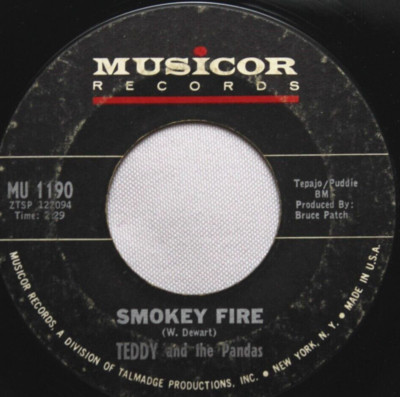 TEDDY AND THE PANDAS SMOKEY FIRE / WE CAN'T GO ON THIS WAY 45 7'' RECORD