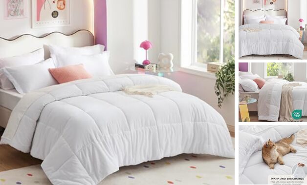 White Comforter Set - 7 Pieces Solid Bed in a Bag Bed Set Queen 05 - White