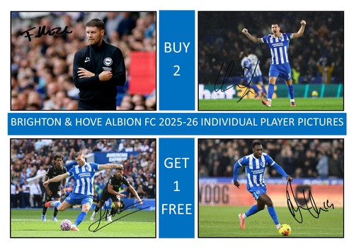 12347. Brighton & Hove Albion 25-26 Season Signed Pictures A4 Prints PICK PLAYER