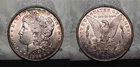 1896 P Morgan Silver Dollar $1 VAM-19 "8" in Denticles Top 100
