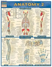 Anatomy 2 (Quickstudy: Academic) - Pamphlet B...