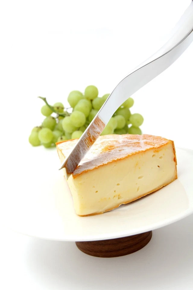 Magisso Stainless Steel Cheese Knife - Image 3 of 3
