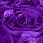 Bild 7 von 8