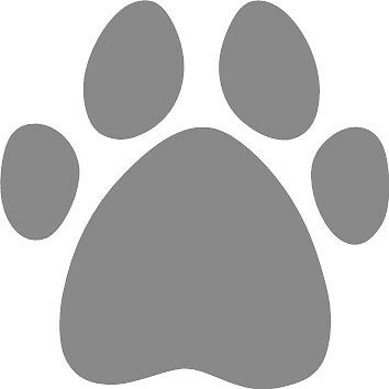 70 x Pfotendruck Hund Katze Aufkleber Vinyl Aufkleber 3 cm Auto Glas Basteln Kunst - Bild 10 von 26