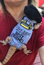 DIAMOND  GIRLS BFF 1 XLRG SLEEVELESS BODY HOODY SHIRT 4 UNISEX BEARDED DRAGONS