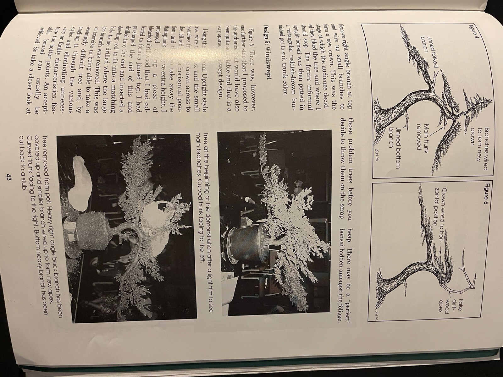 Picture 6 of 6